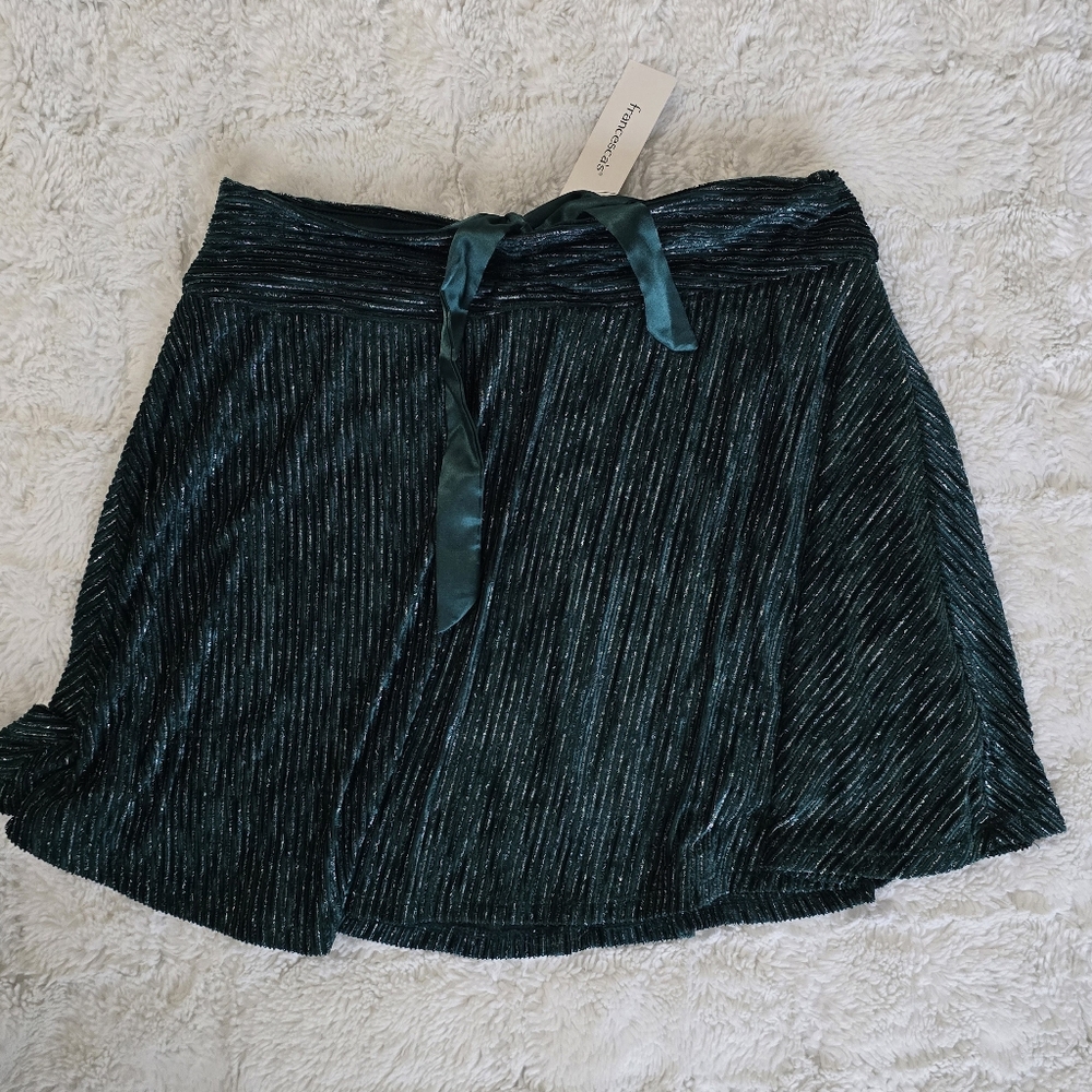 Francesca's Collections Teal Velvet Mini Skirt